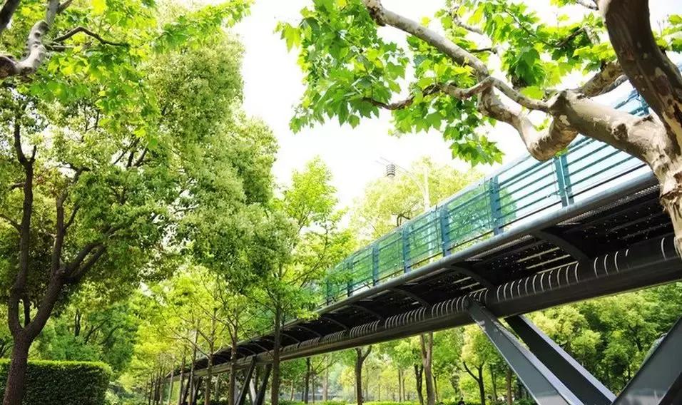 黑龙江即将腾飞的县,黑龙江省哪个县有发展潜力