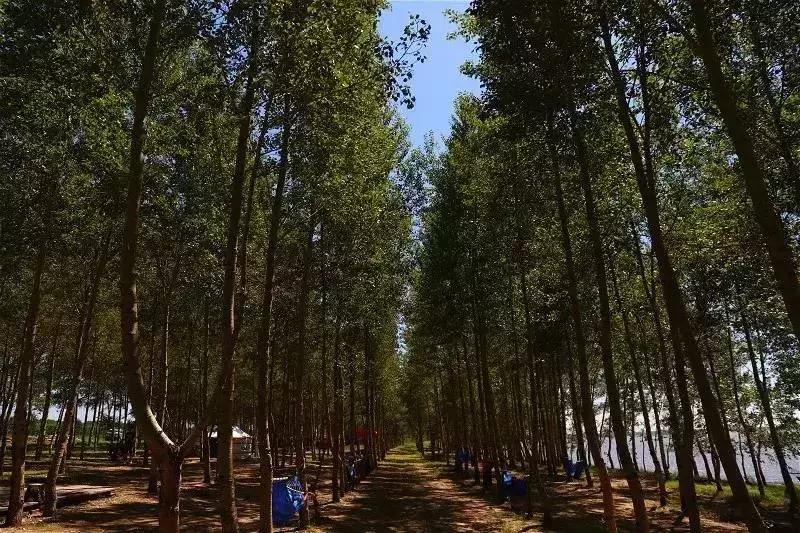 黑龙江即将腾飞的县,黑龙江省哪个县有发展潜力