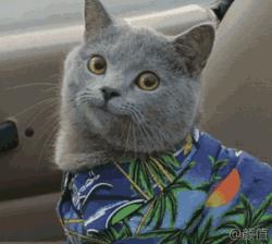 黑龙江即将腾飞的县,黑龙江省哪个县有发展潜力