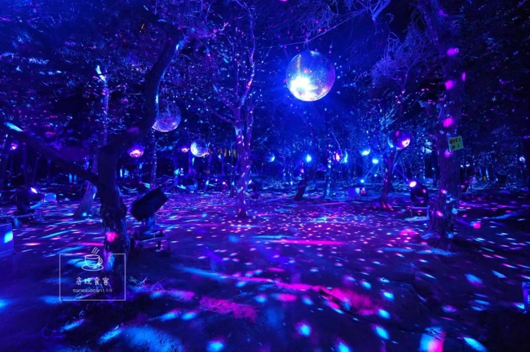 秦皇岛旅游攻略夜景,秦皇岛旅游攻略这几个景点必去