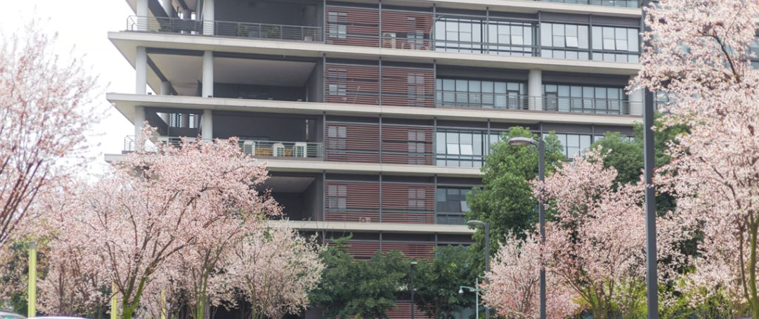 详细成都订酒店逛景点旅游攻略,成都市区必去的景点和酒店