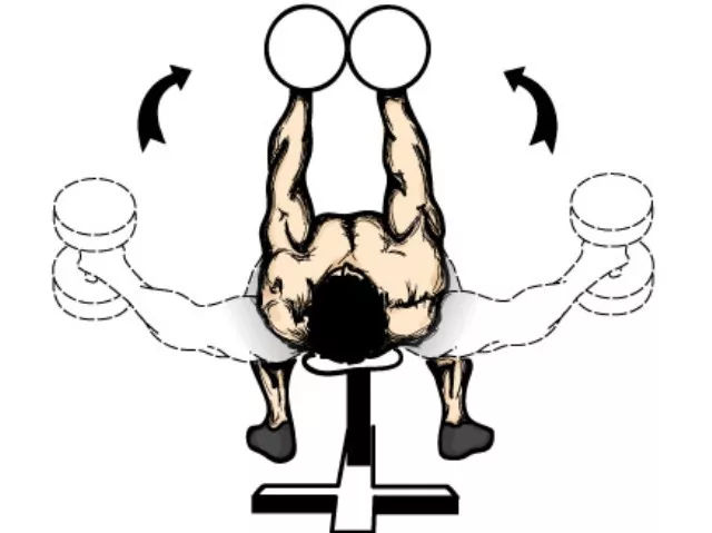 胸肌训练六个动作告别薄弱上胸,卧推杠铃练胸肌最好的6个动作