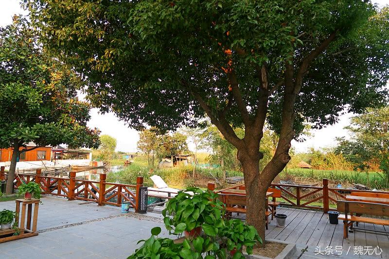 晚上去阳澄湖吃大闸蟹旅游攻略,去阳澄湖吃大闸蟹和游玩攻略