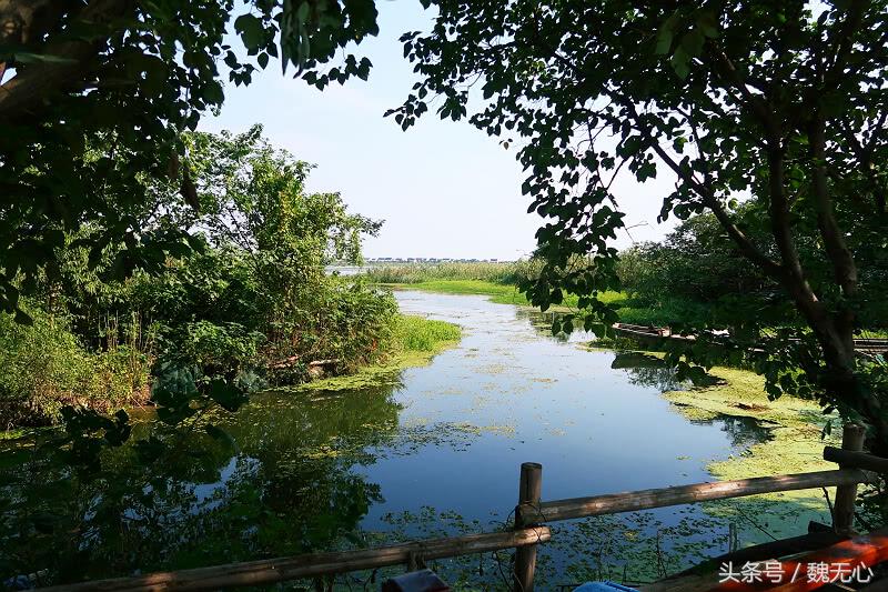 晚上去阳澄湖吃大闸蟹旅游攻略,去阳澄湖吃大闸蟹和游玩攻略