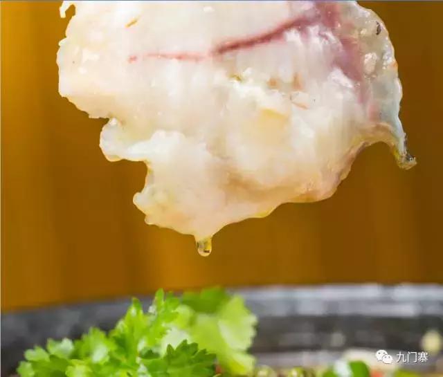 正宗重庆九门寨石锅鱼,正宗石锅鱼哪里好吃