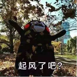 今天出行必看!这篇助你避堵返程!下周又冷冷冷!等着你的不是秋裤而是棉裤……