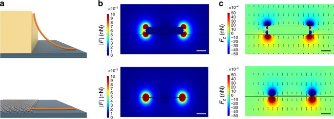 石墨烯和定向纳米材料的放置，用于大规模器件集成