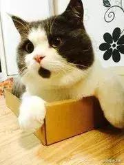 非洲竟然也有护肤品？这波骚操作可还行？！