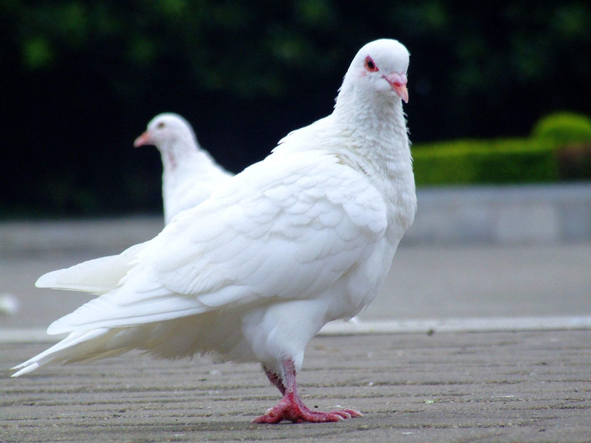 道家哲理小故事,10个道家小故事很短却很真