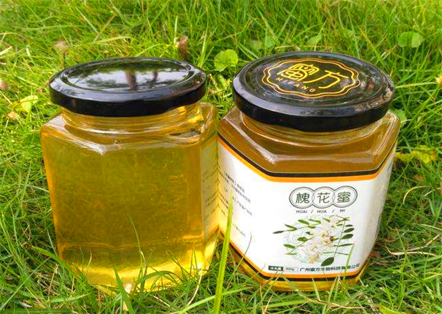 蜂蜜钓鲫鱼的正确方法,钓鲫鱼最佳诱饵是什么