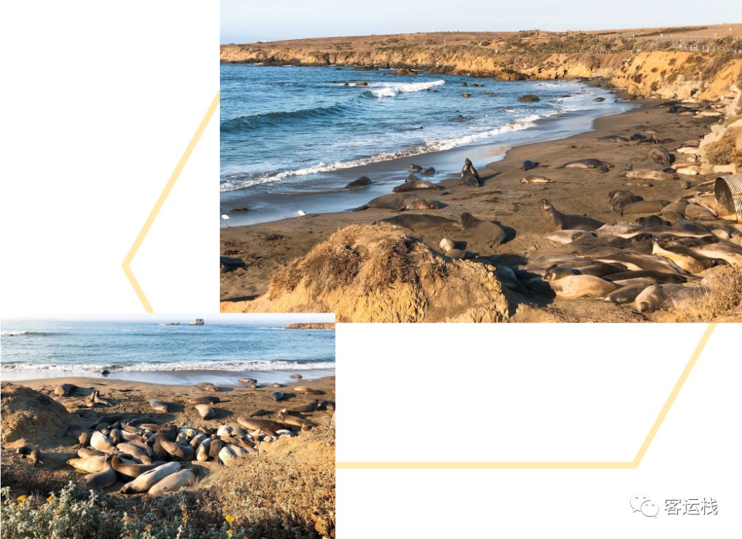 加州星期日,加州的周末