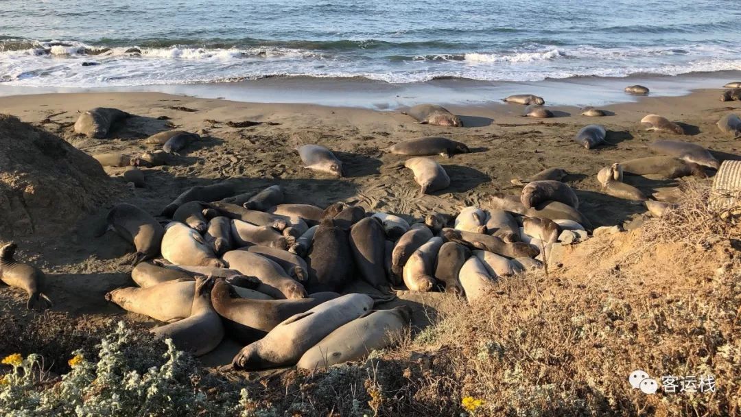 加州星期日,加州的周末