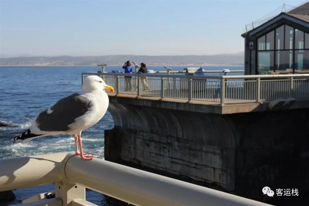 加州星期日,加州的周末