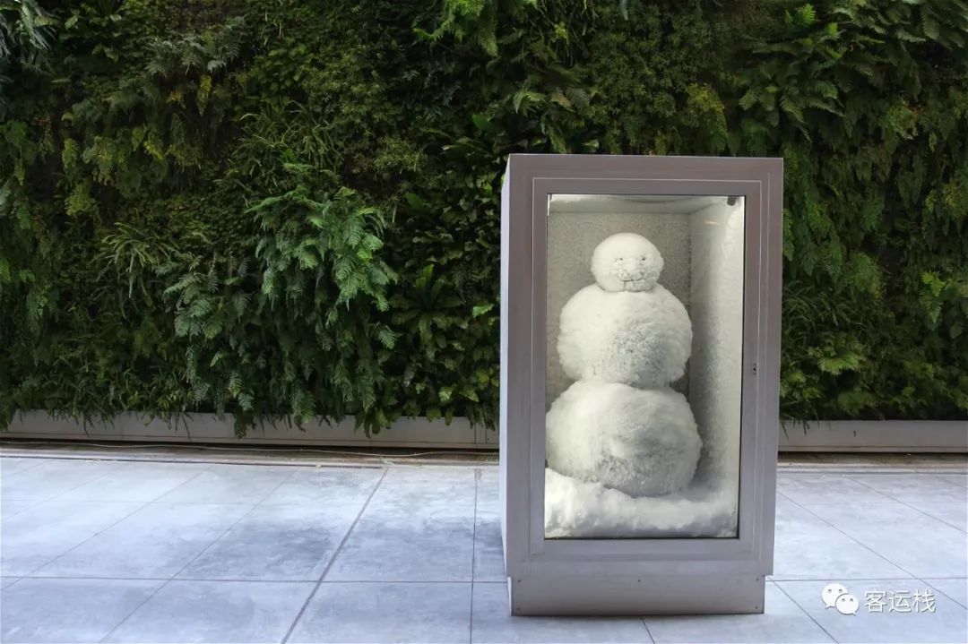 加州星期日,加州的周末