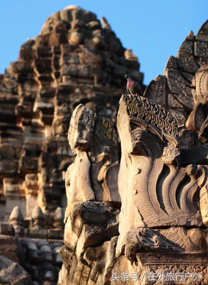 不去普罗旺斯和柬埔寨，千元飞到泰国看最美向日葵田和高棉遗址