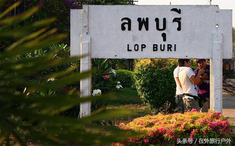 不去普罗旺斯和柬埔寨，千元飞到泰国看最美向日葵田和高棉遗址