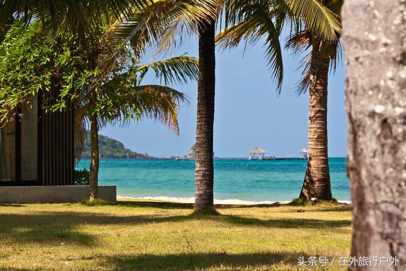 不去普罗旺斯和柬埔寨，千元飞到泰国看最美向日葵田和高棉遗址