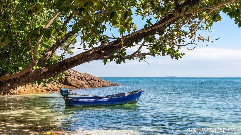 不去普罗旺斯和柬埔寨，千元飞到泰国看最美向日葵田和高棉遗址