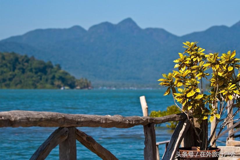 不去普罗旺斯和柬埔寨，千元飞到泰国看最美向日葵田和高棉遗址