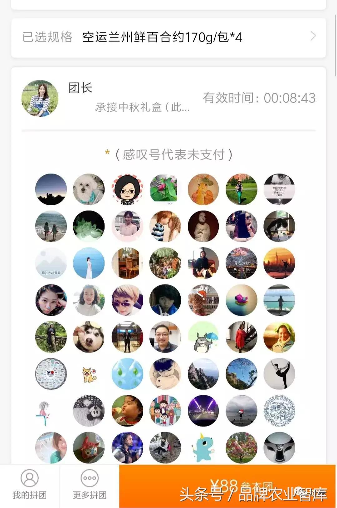 松鼠拼拼社区团购官网,每日优鲜拼团购水果