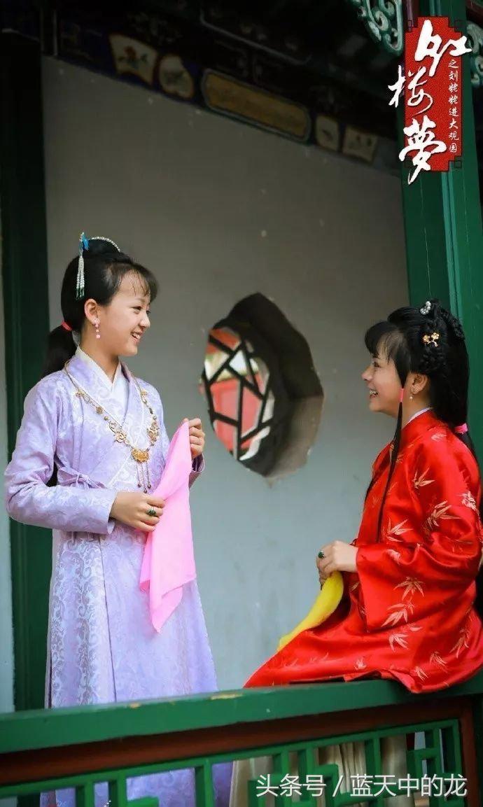 红楼梦里的生僻字注音大全,红楼梦中这80个生僻字你认识吗