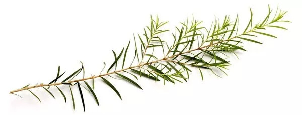 想脸更紧致一点做什么医美,想脸上皮肤好要做什么