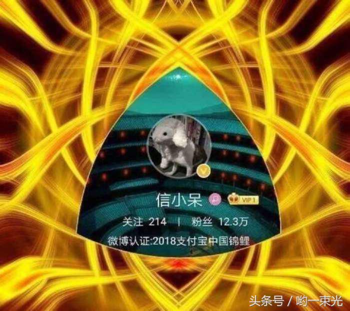 2019锦鲤好运来了吗,2024年好运锦鲤