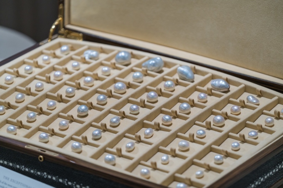 南半球最大的购物中心,chadstoneshoppingcenter买东西