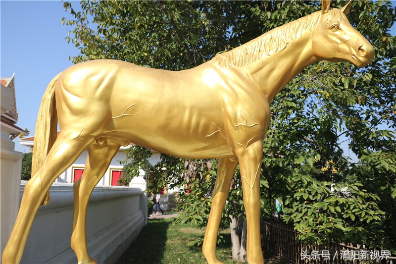 探秘中国古老的佛教寺庙,泰国佛殿苑