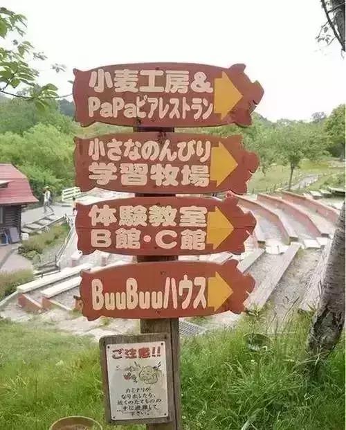 日本农产品为什么这么好,日本高端农产品