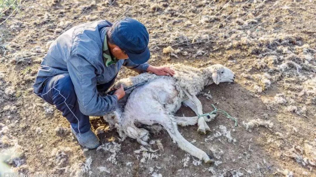 灰色*赚网**江湖:1%创富神话,99%被收割