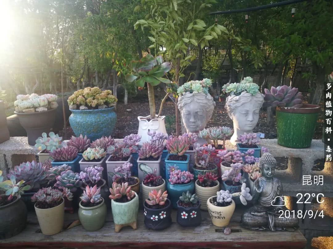 清茶淡话悟人生，一园美肉品生活！