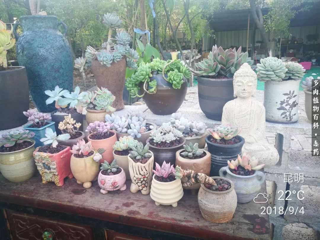 清茶淡话悟人生，一园美肉品生活！