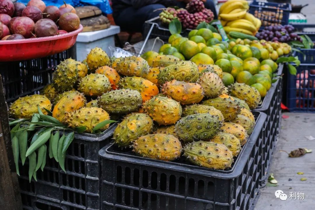 旅行｜桂林山（米）水（粉）甲天下！嗦粉爱好者的天堂！