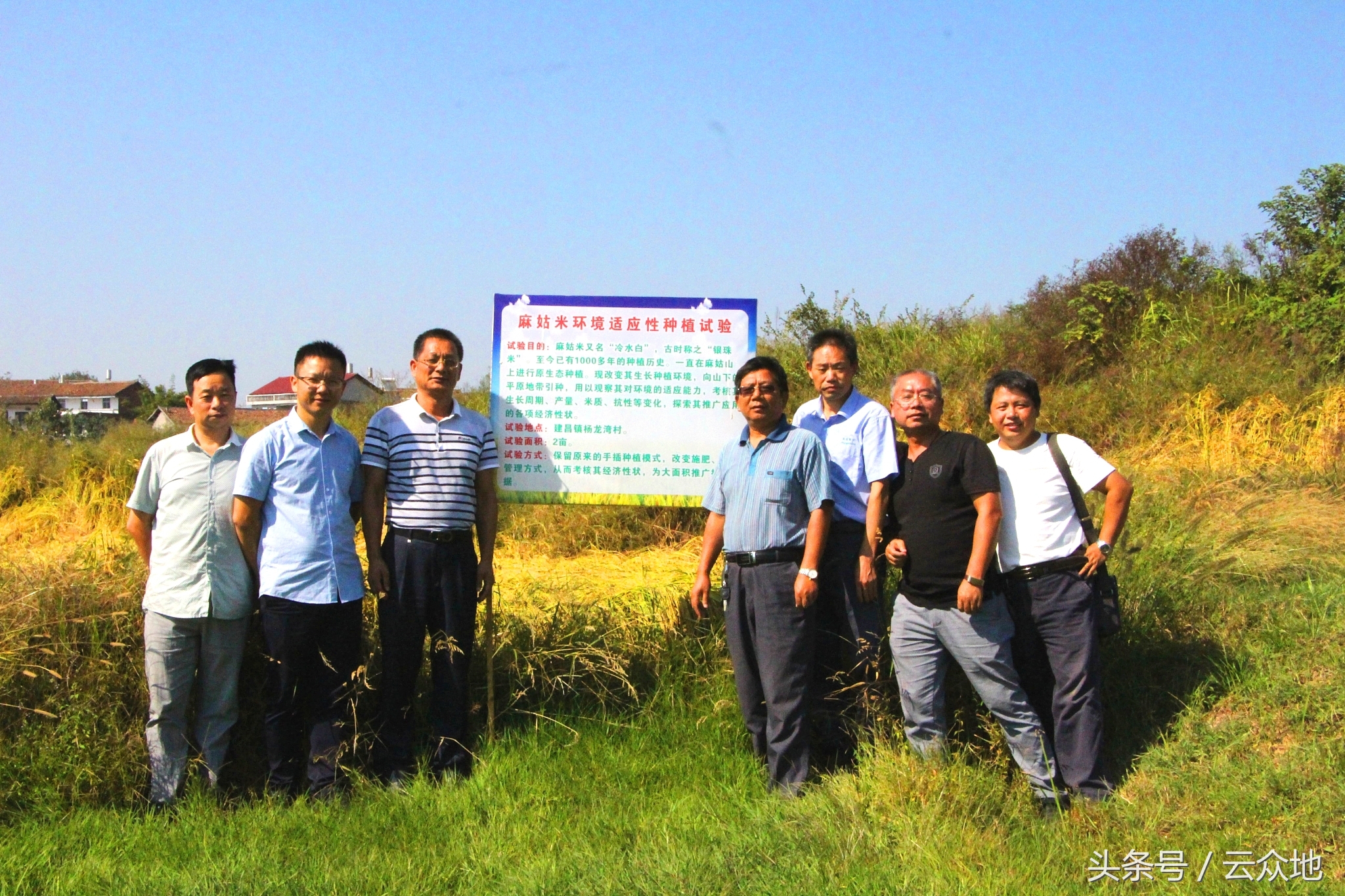 江西农大教授种出38色油菜,农业专家来到苞米地