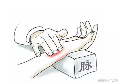 鸡一屁股坐地上了解析,鸡一屁股坐在地上