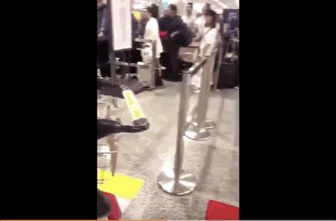 代购彻底凉了！最强审计真的来了！