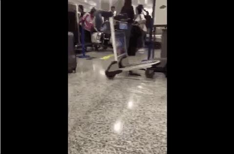 代购彻底凉了！最强审计真的来了！