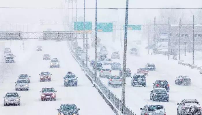 “我爱温哥华，但我无奈选择卡尔加里”：一位BC艺术家的“陈词”