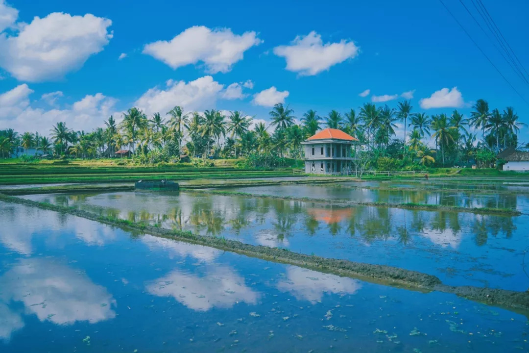 巴厘岛不建议去的地方,巴厘岛的地图