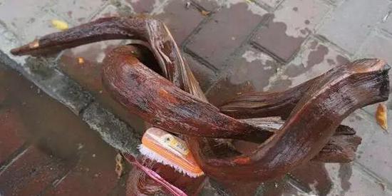 崖柏凹槽用什么工具打磨,打磨崖柏根雕的视频教程