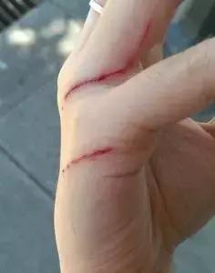 福懋动物医院好不好,福懋动物医院有疫苗打吗