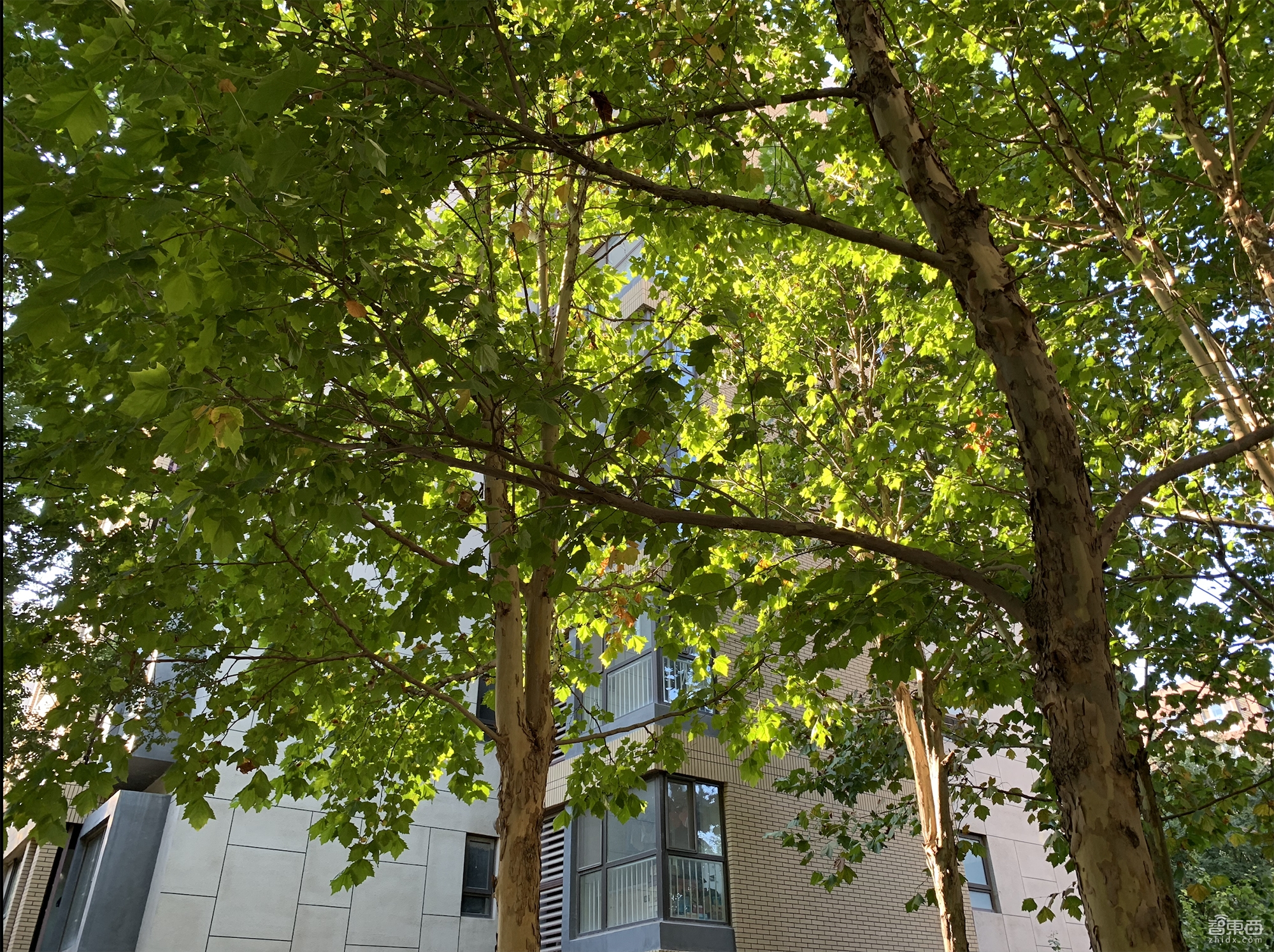 苹果iphonexsmax今年值得买吗,看看苹果iphonexsmax有多耐用