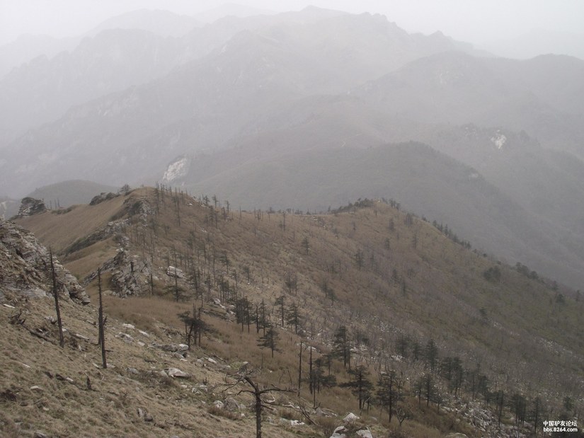 爬鹿角梁路线,鹿角梁路线图