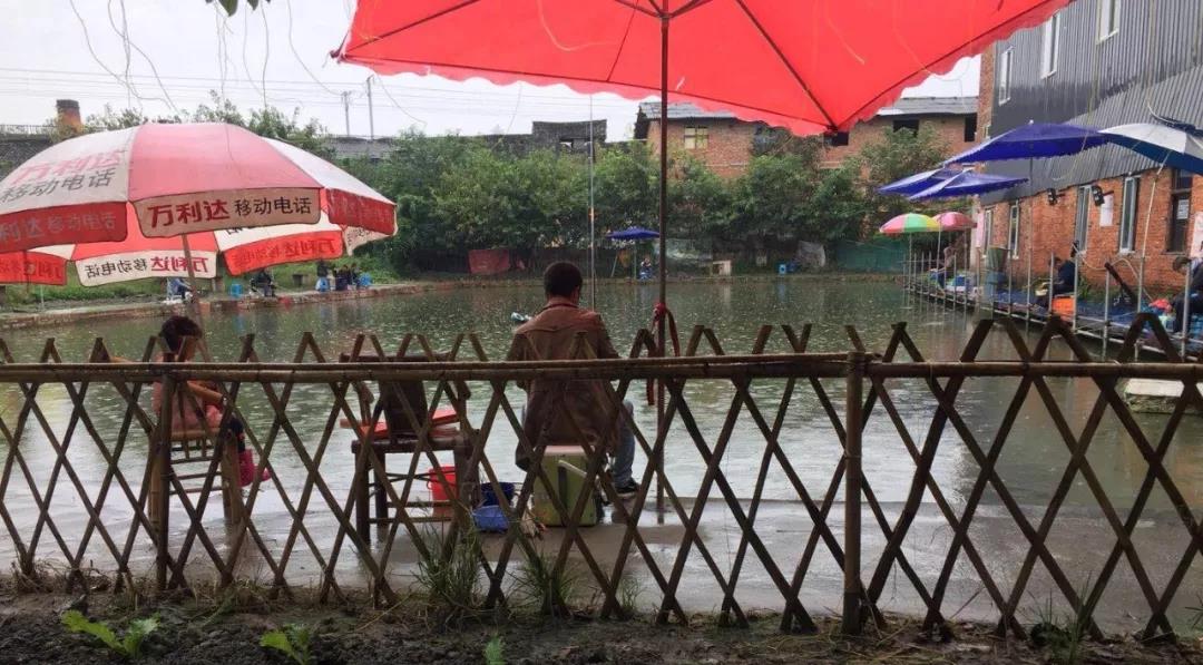 收费的鱼塘钓鱼,收费塘可以路亚吗