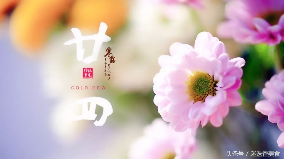 秋景萧瑟也能精致优雅，她这样把晚秋过得有声有色！