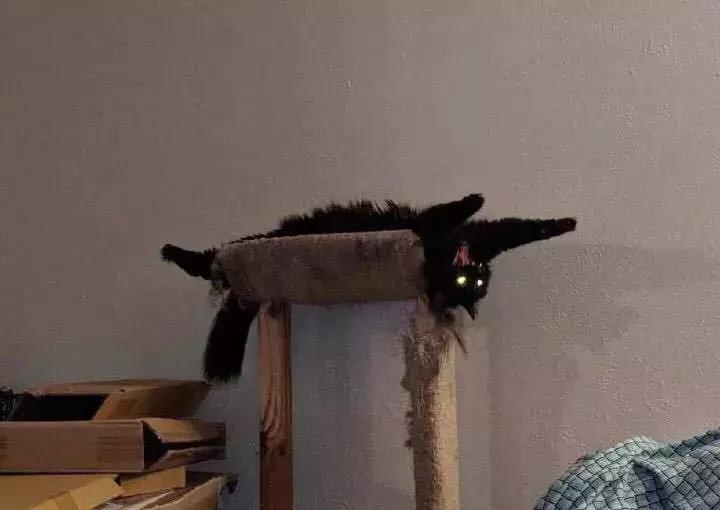 听菠萝的话：有了这些，十一不用出门了