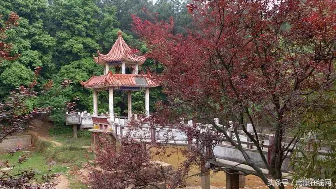 南康品质,南康为什么发展得最好