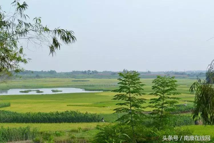 南康品质,南康为什么发展得最好