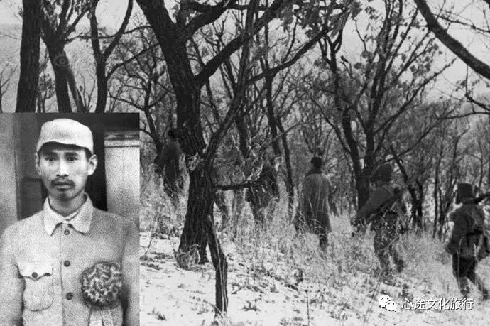 古惑仔和土匪,古惑仔与土匪